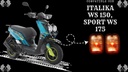 Direccional Juego C/2 Piezas Italika Ws150 Sport, Ws175