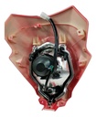 Faro Completo Para Moto Dm150 Rojo
