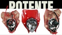 Faro Completo Para Moto Dm150 Rojo