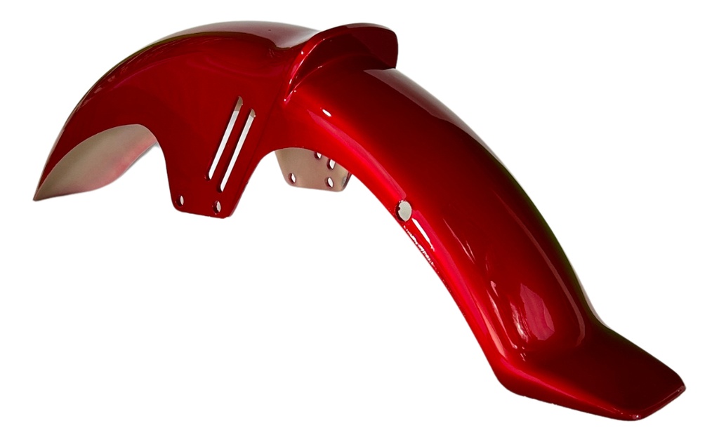 Salpicadera Delantera Forza 150