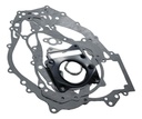 Empaque Jgo Completo Motor Mototaxi Tvs King 200