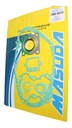 Juego Completo Empaque Suzuki Ax100 100cc