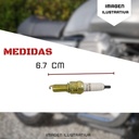 Bujia Champion Para Motocicleta