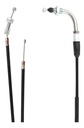 CHICOTE ACEL TC250